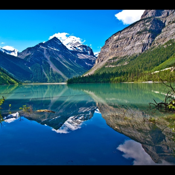 Meet your Posher, Sophia - Picture 1 of 1